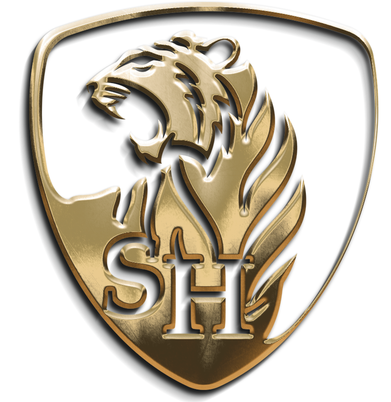Seif El Hakim FZE